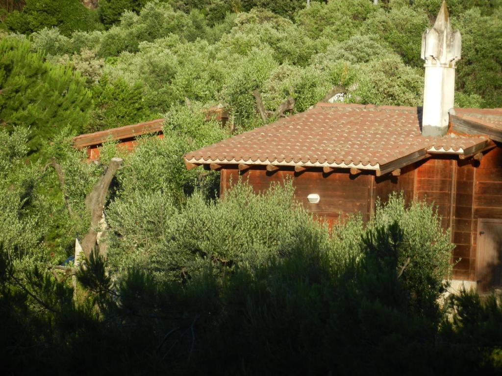 Tenuta Molino Di Mare- Ecoresort Con Villini Rodi Garganico Exterior foto