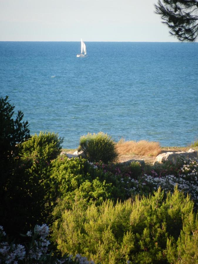 Tenuta Molino Di Mare- Ecoresort Con Villini Rodi Garganico Exterior foto